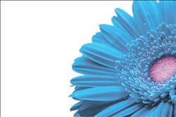 Bedale Dental Practice